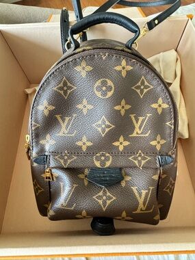 Louis Vuitton Canvas Monogram Mini Palm Springs Backpack